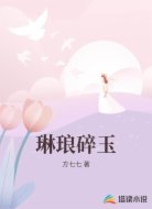 琳琅碎玉
