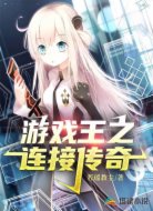 游戏王之连接传奇