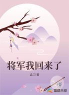 将军我回来了