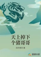 天上掉下个猪哥哥