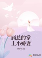 顾总的掌上小娇妻