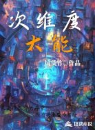 次维度大能