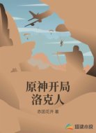 原神开局洛克人