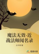 魔法无效-近战法师闻名录