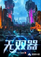 无双器