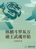 纵横斗罗从万磁王武魂开始