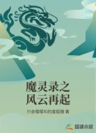 魔灵录之风云再起