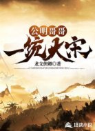 公明哥哥一统大宋