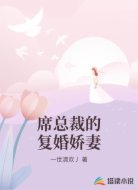 席总裁的复婚娇妻