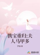 攜寶重歸:夫人馬甲多