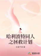 哈利波特同人之拯救计划