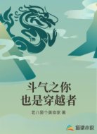 斗气之你也是穿越者