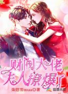 财阀大佬，夫人撩爆了