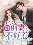 萌宝来袭:前妻不好惹