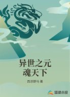 异世之元魂天下