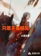 只愿不复相见