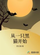 从一只黑猫开始