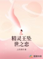 精灵王坠世之恋