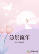 急景流年