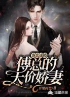 虐爱成瘾：傅总的天价娇妻