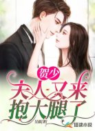 贺少，夫人又来抱大腿了
