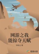 网游之我能掠夺天赋