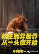 转生成到异世界从一头猪开始