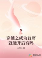 穿越之成为首席就能开后宫吗