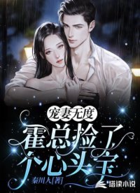 宠妻无度：霍总捡了个心头宝
