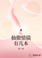 仙僚情债有几本
