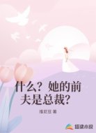 什么?她的前夫是总裁?