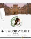 不可思议的公主殿下