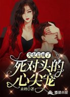 失忆后成了死对头的心尖宠