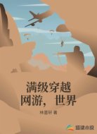满级穿越网游，世界