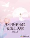 沈少快把小嬌妻寵上天啦
