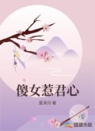傻女惹君心