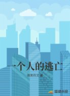 一个人的逃亡