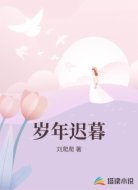 岁年迟暮
