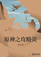 原神之攻略荧
