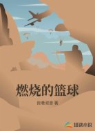 燃烧的篮球