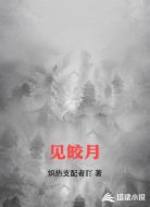 见皎月