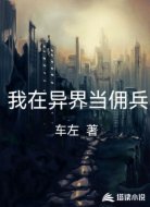 我在异界当佣兵