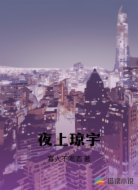夜上琼宇