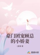 豪门团宠顾总的小娇妻