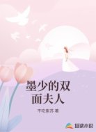 墨少的双面夫人