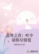 意外之喜：叶少，请你尽情爱