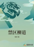 禁区柳道