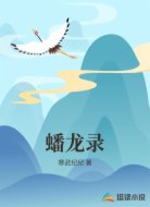 蟠龙录