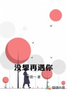没想再遇你