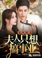 宠坏娇妻,夫人只想搞事业